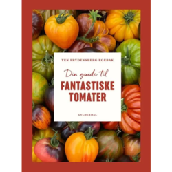 Din guide til fantastiske tomater - af Yen Frydensberg Egebak