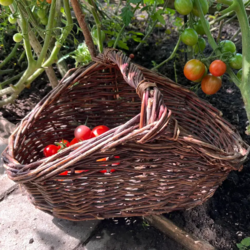 Blomsterkurv til mange formål