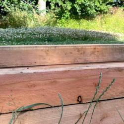 Højbed i lærketræ 1x2 meter - 50 cm højt