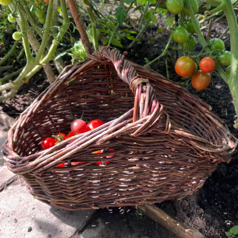 Blomsterkurv til mange formål