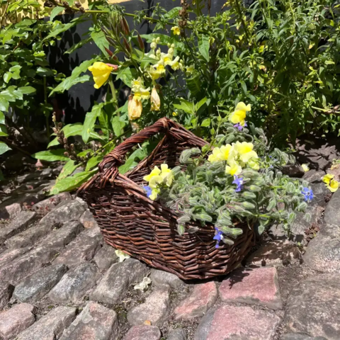 Blomsterkurv - til afskårne blomster
