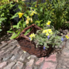 Blomsterkurv - til afskårne blomster